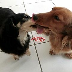 18位のイメージ