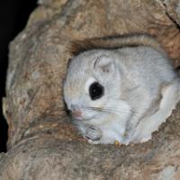 25位のイメージ