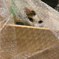 438位のイメージ