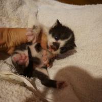 1137位のイメージ