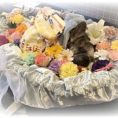 28位のイメージ