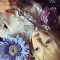 14位のイメージ