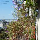 30位のイメージ