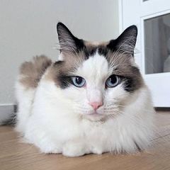 13位のイメージ