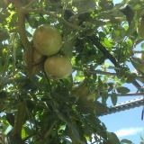 25位のイメージ