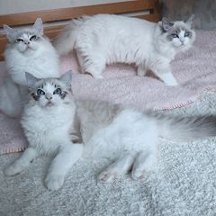 15位のイメージ