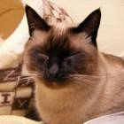 42位のイメージ