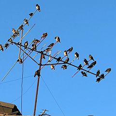 13位のイメージ