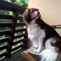 12位のイメージ