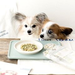 11位のイメージ