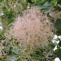 21位のイメージ