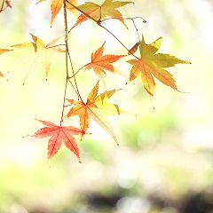 100位のイメージ