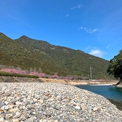 175位のイメージ