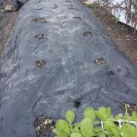 110位のイメージ