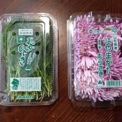 13位のイメージ