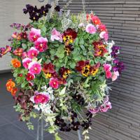 23位のイメージ