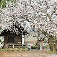 18位のイメージ