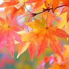 13位のイメージ