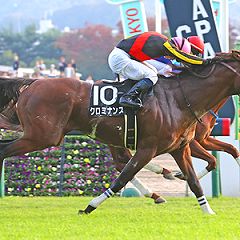 156位のイメージ