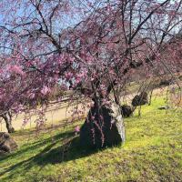 146位のイメージ