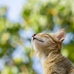 12位のイメージ