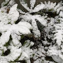 11位のイメージ