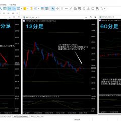 1599位のイメージ