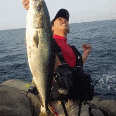 200位のイメージ