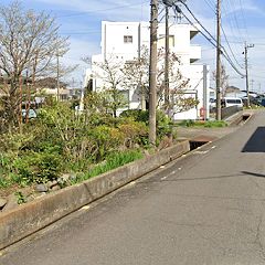 52位のイメージ