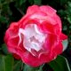 26位のイメージ