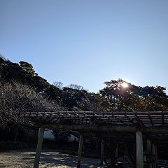 93位のイメージ