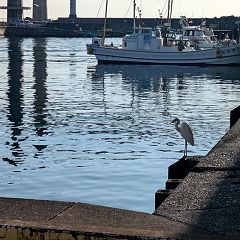 23位のイメージ