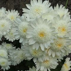 16位のイメージ