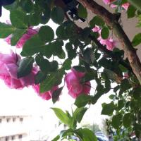 21位のイメージ