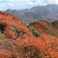 16位のイメージ