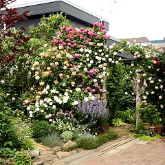 21位のイメージ