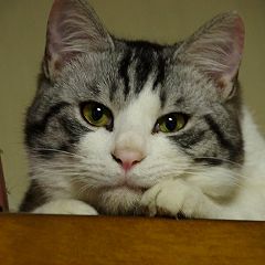 422位のイメージ