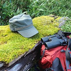 23位のイメージ