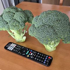 129位のイメージ