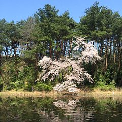 35位のイメージ