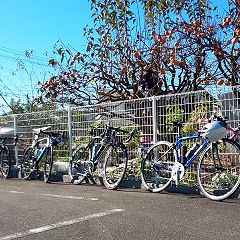 27位のイメージ