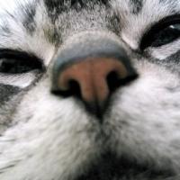 22位のイメージ