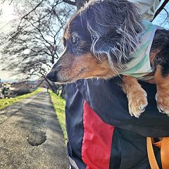 14位のイメージ