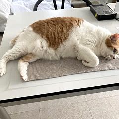 451位のイメージ