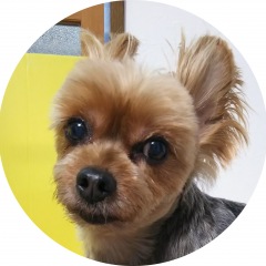 27位のイメージ