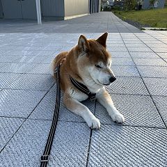 37位のイメージ