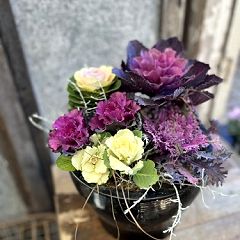 25位のイメージ