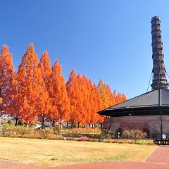 23位のイメージ