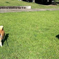 36位のイメージ