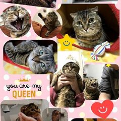 24位のイメージ